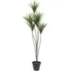 Image de Europalms, Plantes artificielles, Palmier Yucca, plante artificielle, 130cm (130 cm)