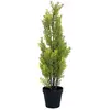 Image de Europalms, Plantes artificielles, Zypresse (60 cm)