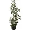 Image de Europalms, Plantes artificielles, Petit olivier (90 cm)