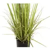 Image de Europalms, Plantes artificielles, Arbuste à feuilles persistantes avec herbe, plante artificielle, 182 cm (182 cm)