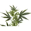 Image de Europalms, Plantes artificielles, Branche de chanvre, artificielle, 90cm