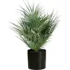 Image de Europalms, Plantes artificielles, Palmier éventail, plante artificielle, 55cm