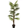 Image de Europalms, Plantes artificielles, Palmier éventail, plante artificielle, 155cm (155 cm)