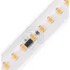 Image de Sigor, Bande LED, 5966401LEDStripsRolleSet 230V, IP65, 10m, 80W 3000K (1000 cm, Intérieur)