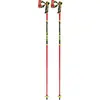 Image de Leki, Bâtons de ski