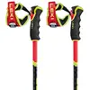Image de Leki Alpino Bâtons Wcr Gs Carbon 3d