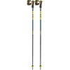 Image de Leki, Bâtons de ski
