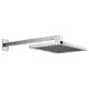 Image de Dornbracht Performing Shower Douchekop Wandbevestiging Platina Mat