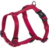 Image de Nobby Harnais Classic (L, XL, Chien, Général), Collier + laisse