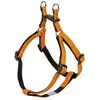 Image de Nobby Harnais Soft Grip (L, XL, Chien, Général), Collier + laisse