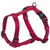 Image de Nobby Harnais Classic (S, XS, Chien, Général), Collier + laisse