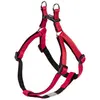 Image de Nobby Harnais Soft Grip (S, XS, Chien), Collier + laisse