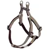 Image de Nobby Harnais Soft Grip (60, Chien), Collier + laisse