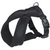 Image de Nobby Harnais confort Classic (Chien, Général), Collier + laisse