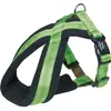 Image de Nobby Harnais confort Soft Grip (XS, Chien), Collier + laisse
