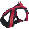 Image de Nobby Harnais confort Soft Grip (L, Chien), Collier + laisse