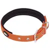 Image de Nobby Couverture de collier (S, Chien, Général), Collier + laisse