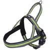Image de Nobby Harnais norvégien Variado (L, M, Chien, Général), Collier + laisse