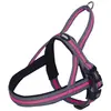 Image de Nobby Harnais norvégien Variado (L, XL, Chien), Collier + laisse