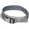 Image de Nobby Collier Classic Preno Royal (S, XS, Chien), Collier + laisse