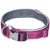 Image de Nobby Collier Classic Preno Royal (Chien), Collier + laisse