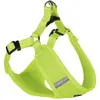 Image de Nobby Harnais Mesh Reflect (XS, Chien), Collier + laisse