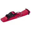 Image de Nobby Collier Classic Preno EXTRA (Chien), Collier + laisse