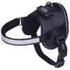 Image de Nobby Vaisselle Seguro Mini (S, Chien), Collier + laisse