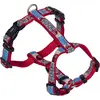 Image de Nobby Style de vaisselle (XS, Chien), Collier + laisse