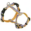 Image de Nobby Style de vaisselle (S, Chien), Collier + laisse
