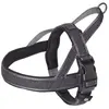 Image de Nobby Harnais norvégien Linen DeLuxe (L, Chien, Général), Collier + laisse