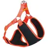 Image de Nobby Harnais Black Mesh Reflect (L, Chien, Général), Collier + laisse