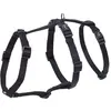 Image de Nobby Turva (XS, Chien, Général), Collier + laisse