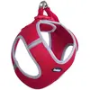 Image de Nobby Delight (S, Chien, Général), Collier + laisse