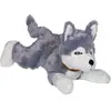 Image de Nobby Peluche chien couché HUSKY (Jouet en peluche pour chiens), Jouets pour chien