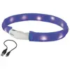 Image de Nobby Bande lumineuse LED large VISIBLE (L, Chien), Collier + laisse