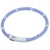 Image de Nobby Bande lumineuse à LED PUPPY (M, Chien, Général), Collier + laisse
