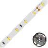 Image de EVN-Lichttechnik, Bande LED, Bande LED (Blanc, 500 cm, Intérieur)