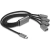 Image de Delock Hub (USB-C, 4 ports), Station d'accueil + hub USB, Noir, Gris