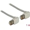 Image de Delock Câble réseau (S/FTP, CAT5e, 1 m), Câble réseau