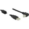 Image de Delock USB A   USB B (0.50 m, USB 2.0), Câble USB