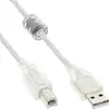Image de InLine USB A   USB B (0.30 m, USB 2.0), Câble USB