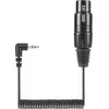 Image de Sennheiser KA 600 Câble audio XLR (3 broches) (0.40 m, Câbles XLR), Câble audio