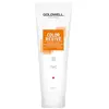 Image de Goldwell Dualsenses Color Revive Copper Shampoo