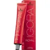 Image de Schwarzkopf Professional, Coloration pour cheveux, Igora Royal (5-1 Cendré brun pâle Cendré)