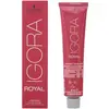 Image de Schwarzkopf Professional, Coloration pour cheveux, Igora Royal (Violet True Reds)