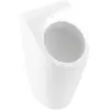 Image de Villeroy & Boch, Cuvette toilettes + bidet, V&B Aspiration-urinoir ARCHITECTURA avec cible we
