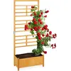 Image de Relaxdays, Plantes : accessoires, treillis (31.50 cm, 71 cm)