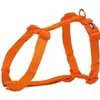 Image de Trixie Harnais Premium H (XXL, Chien), Collier + laisse