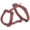 Image de Trixie Hondentuig Premium H-Tuig Sangria Rood - 30-44X1 Cm (S, XS, Chien, Général), Collier + laisse
